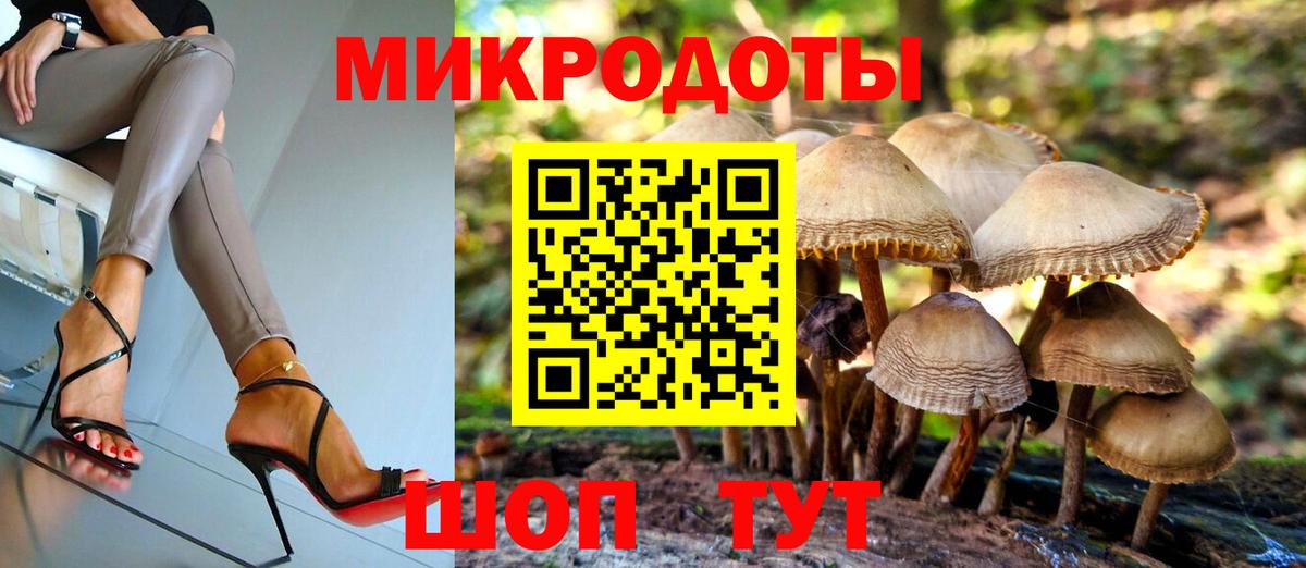 Псилоцибиновые грибы Cubensis Алушта