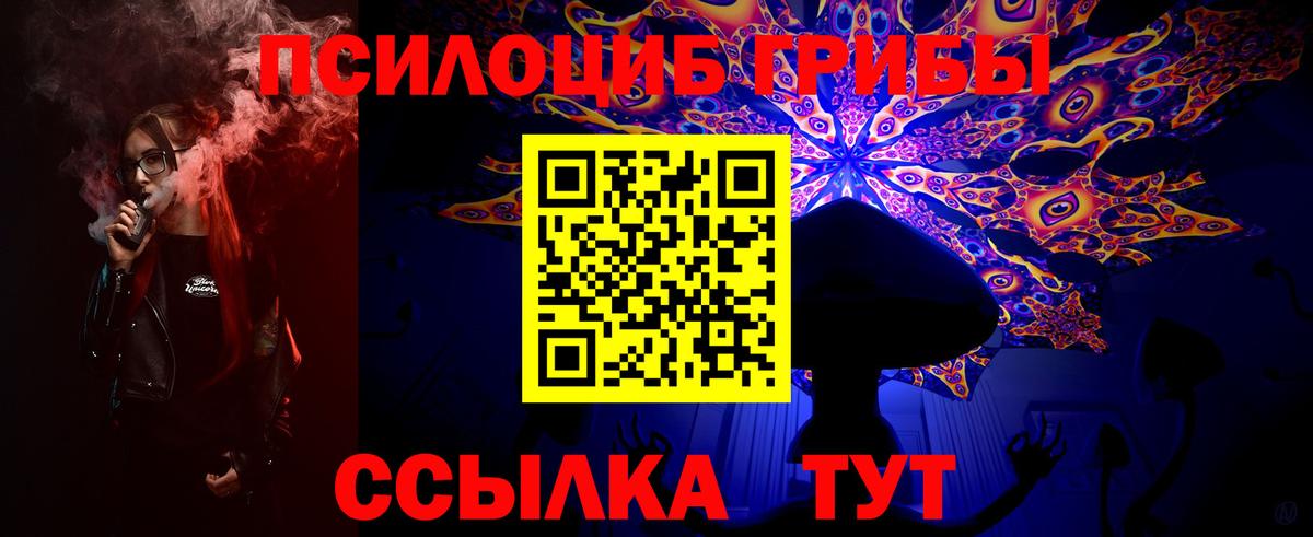 Алушта  Псилоцибиновые грибы мицелий  Вход с VPN  Галлюциногенные грибы Psilocybe 